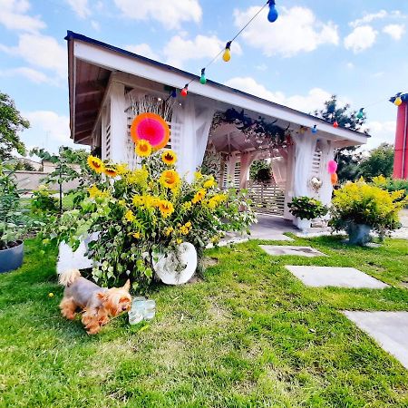 Pokoje Hotelowe Siedlczanka Siedlce Exteriér fotografie